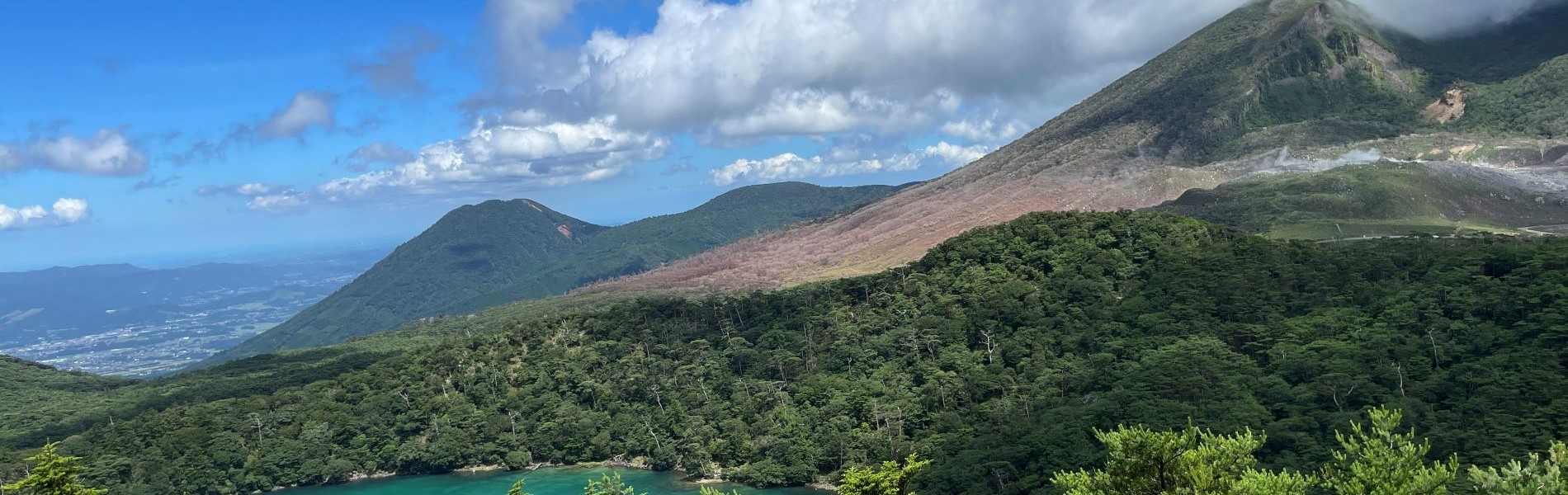 シンプルでカスタマイズしやすいWordPress.org登録テーマ